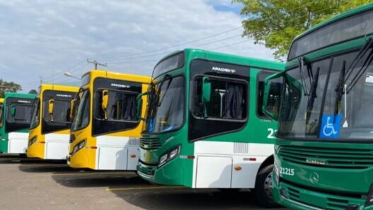 Prefeitura de Salvador autorizou redução de viagens de ônibus no dia da eleição, aponta ofício enviado ao STF