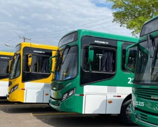 Prefeitura de Salvador autorizou redução de viagens de ônibus no dia da eleição, aponta ofício enviado ao STF